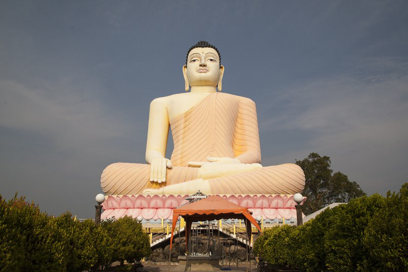 공포증 딱히 없는 내가 느끼는 이름 모를 공포 | 인스티즈