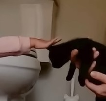 체리한테 동물은 어떻게 대해야 하는지 잘 알려준 것 같은 유투버 올리버쌤 | 인스티즈