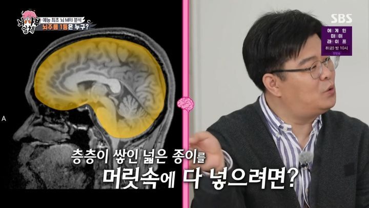[집사부일체] 최고의 뇌과학자가 분석한 양세형, 리정, 이승기, 유수빈, 김동현 뇌 MRI 결과 | 인스티즈