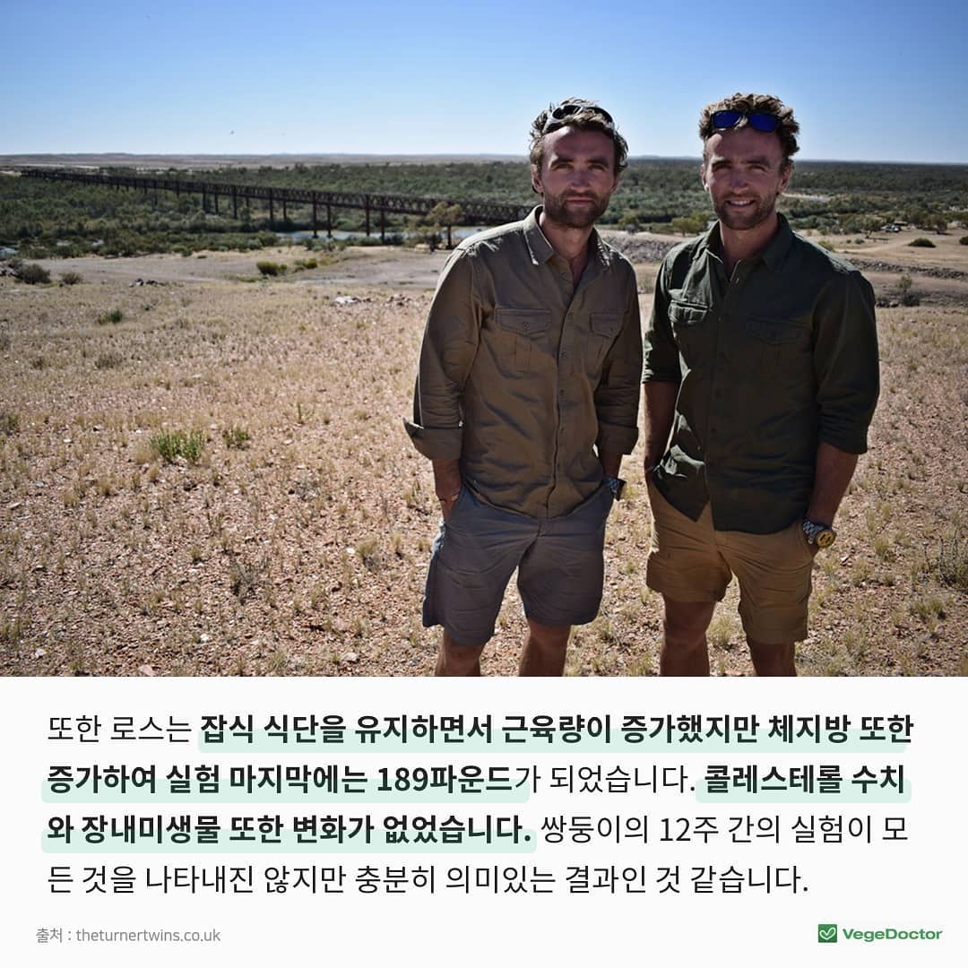 쌍둥이가 채식 vs 잡식으로 12주를 보낸다면? | 인스티즈