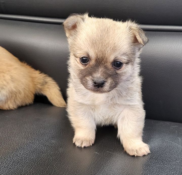 (공지라니... ++추가)새로생긴 회사 복지.. 미쳐서 도저히 일을 못하겠네.. (추가....)++추가 | 인스티즈