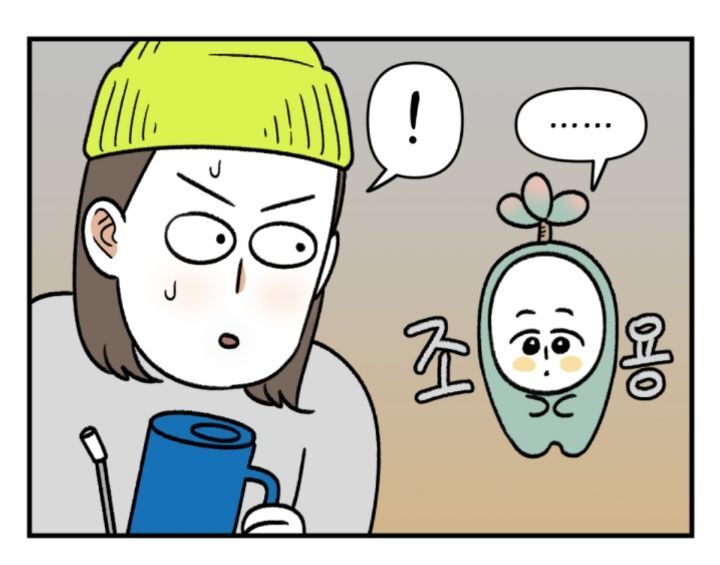 다육이 키우는 초보자들이 제일 많이 하는 실수 | 인스티즈