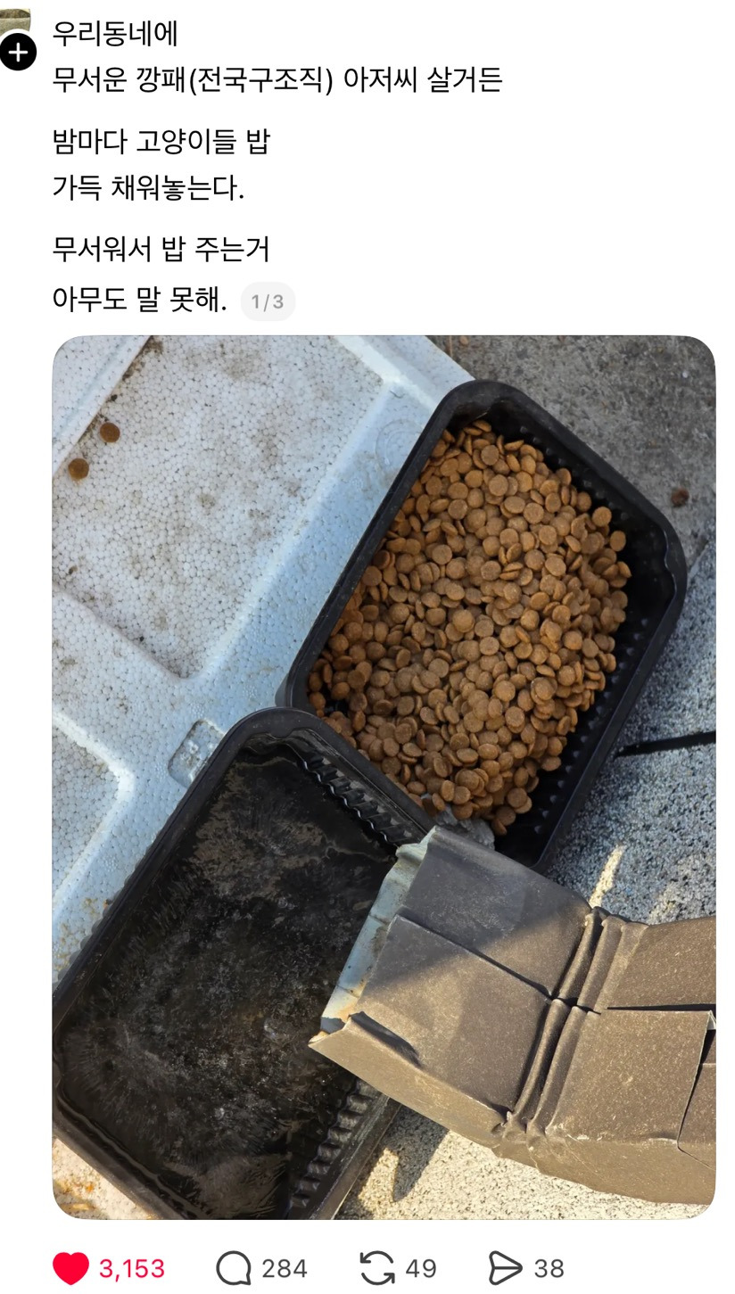 우리동네에 전국구조직 깡패 아저씨 사는데 밤마다 길고양이들한테.thread | 인스티즈