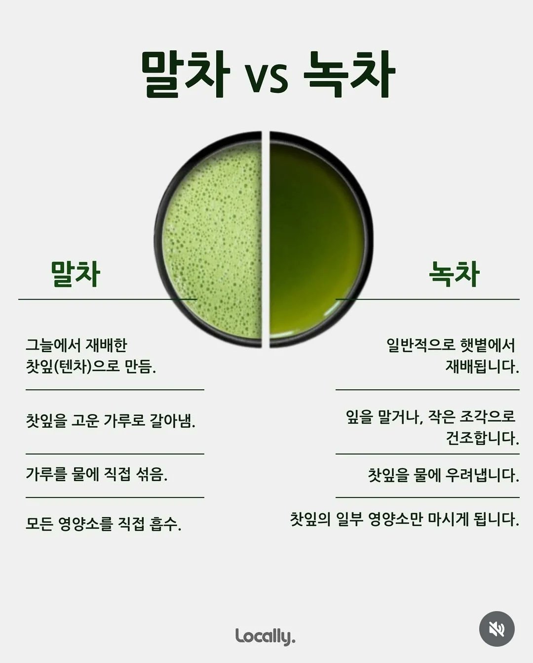 Daum 카페