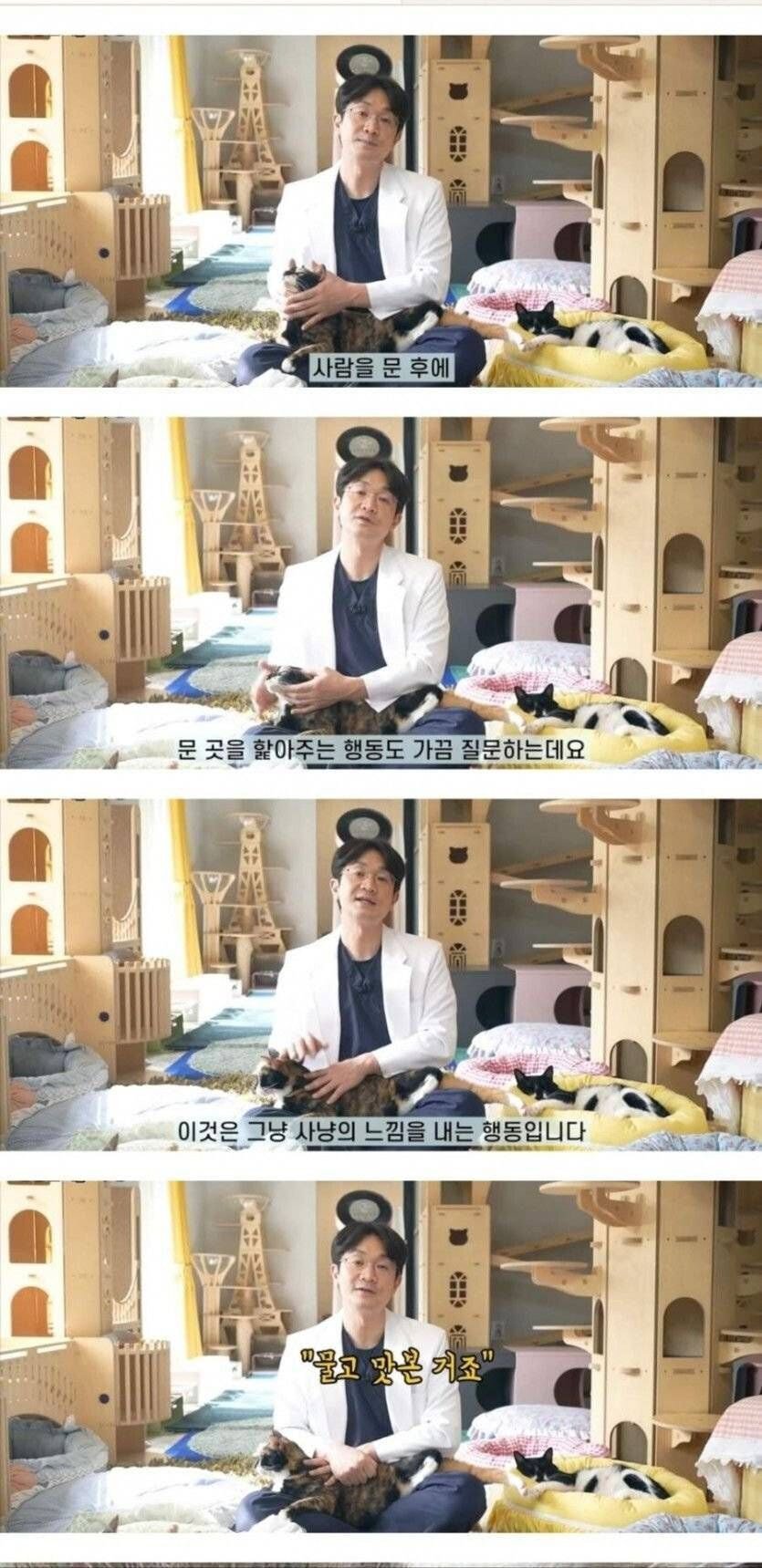 고양이가 사람 물고나서 핥아주는 이유 | 인스티즈