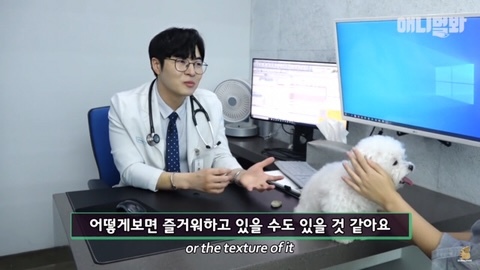 돌멩이를 물고 다니는 강아지 | 인스티즈