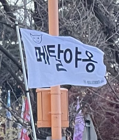탄핵 시위= 대짱잼 깃발 대회 | 인스티즈