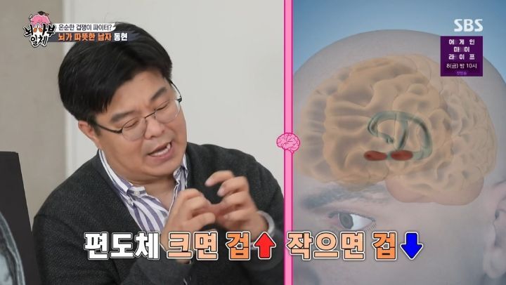 [집사부일체] 최고의 뇌과학자가 분석한 양세형, 리정, 이승기, 유수빈, 김동현 뇌 MRI 결과 | 인스티즈