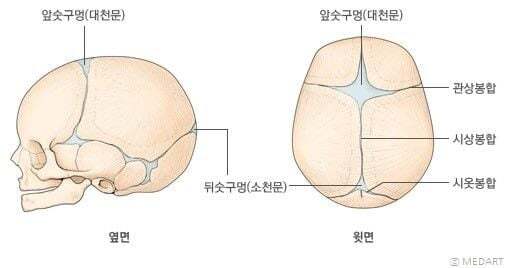 아기 머리에 있는 숨구멍 .gif | 인스티즈