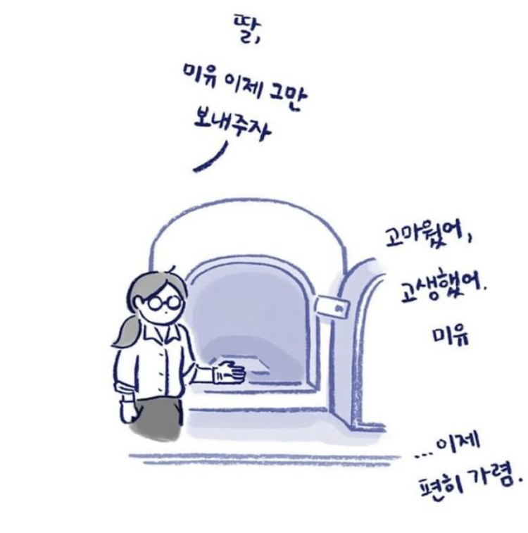 반려동물을 떠나보낸다는 것 | 인스티즈