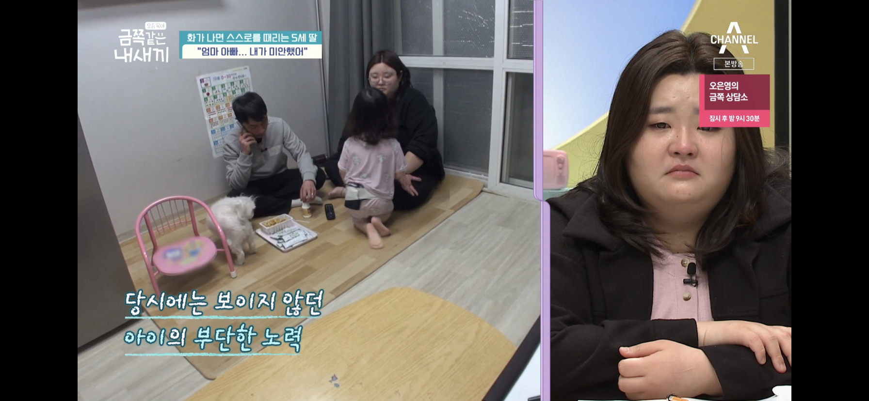 [금쪽같은내새끼] 최초로 아이가 아닌 부모가 금쪽이였던 오늘 편 | 인스티즈