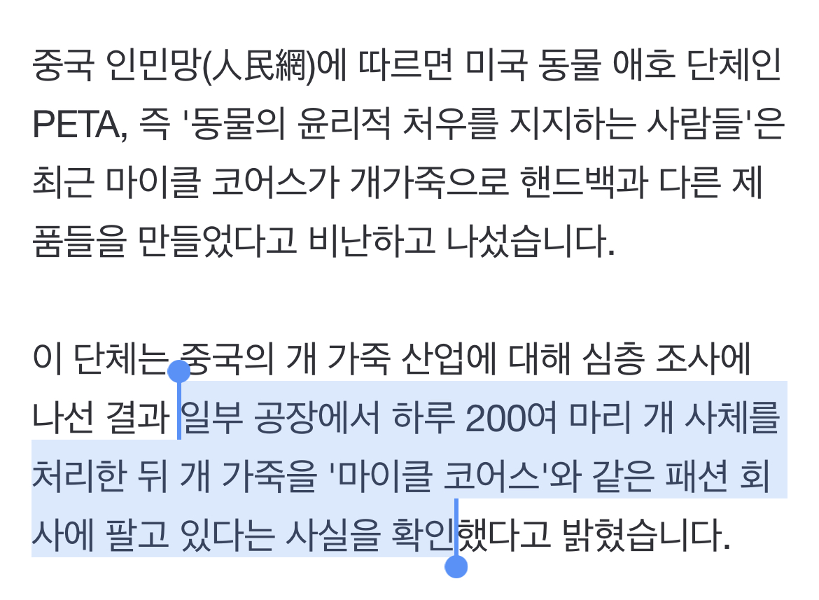 '마이클 코어스 핸드백' 중국산 개가죽 사용 논란 확산 | 인스티즈