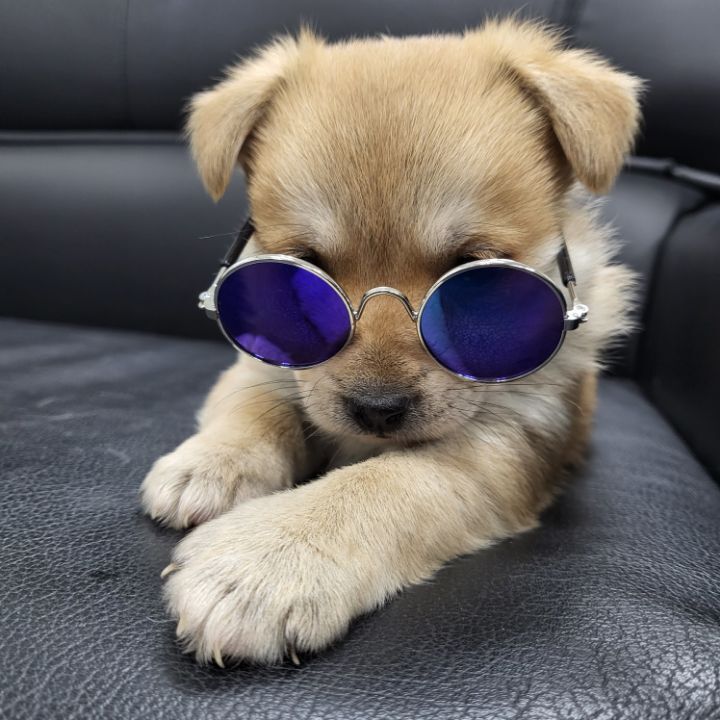 (공지라니... ++추가)새로생긴 회사 복지.. 미쳐서 도저히 일을 못하겠네.. (추가....)++추가 | 인스티즈