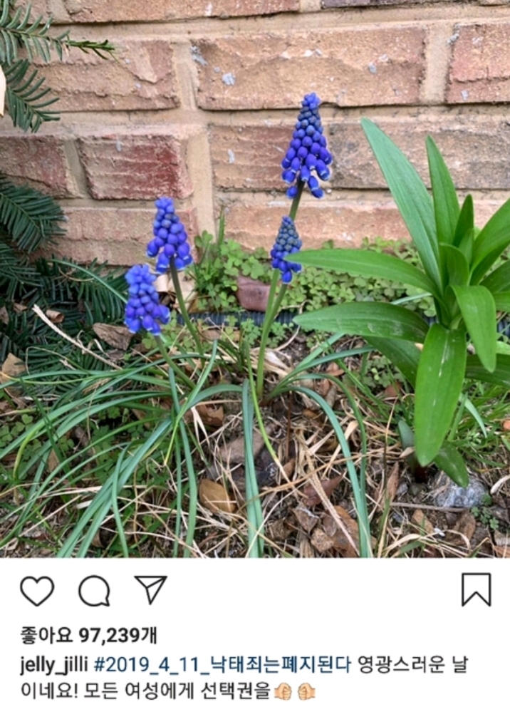 설리는 떠났지만 설리의 말들은 여전히 여성들과 연대하고 있다 | 인스티즈