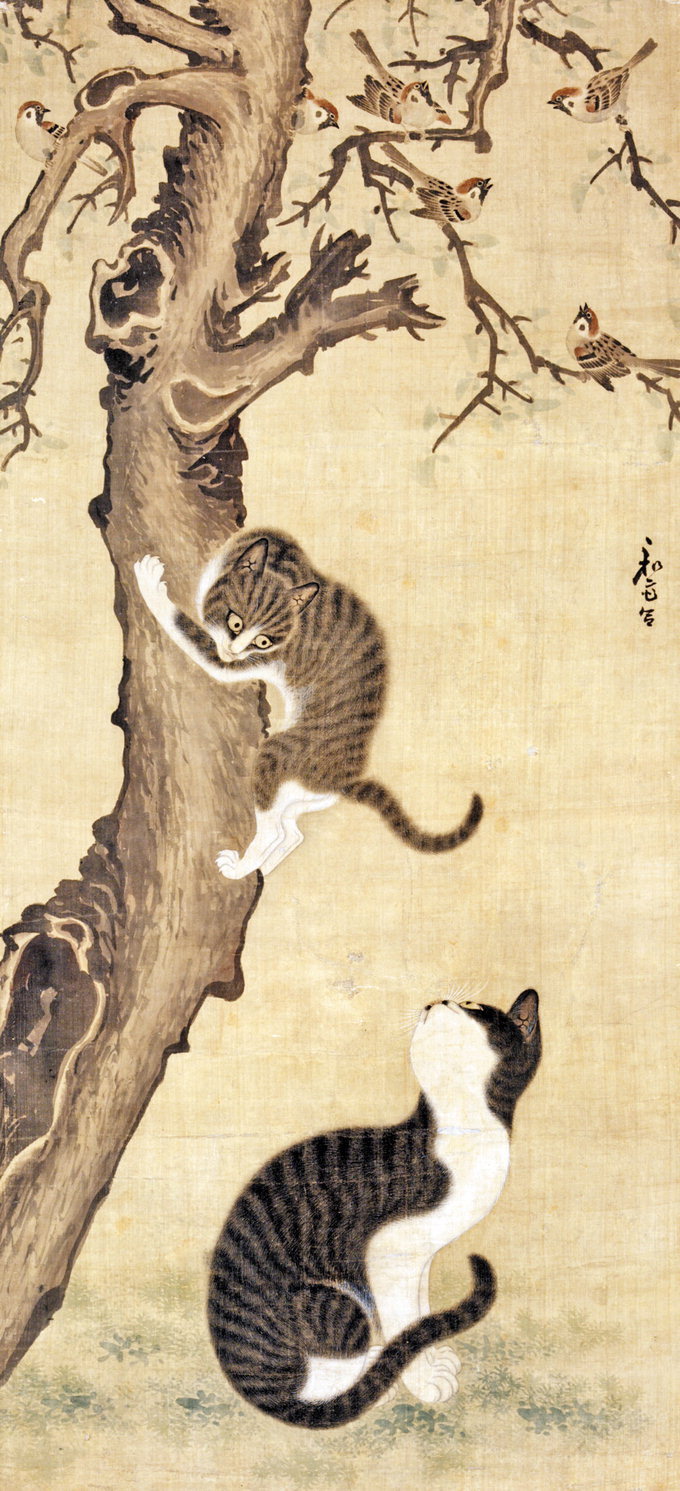 우리나라는 왜 고양이를 "나비야~"라고 부르게 됐을까 | 인스티즈