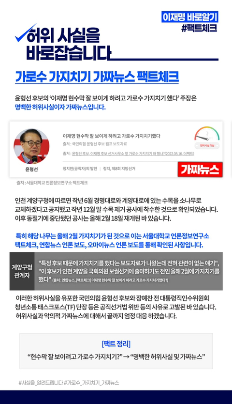 [팩트체크] 이재명 선거캠프 앞 가로수 가지치기 가짜뉴스 팩트체크 | 인스티즈