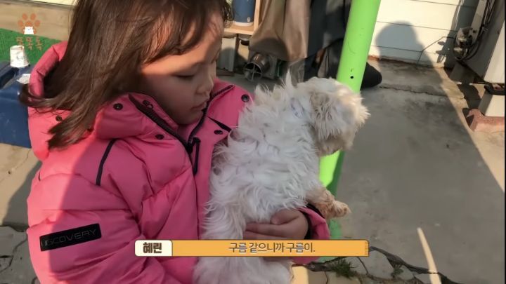 7살 아이 눈에 비친 유기견 보호소는? | 인스티즈