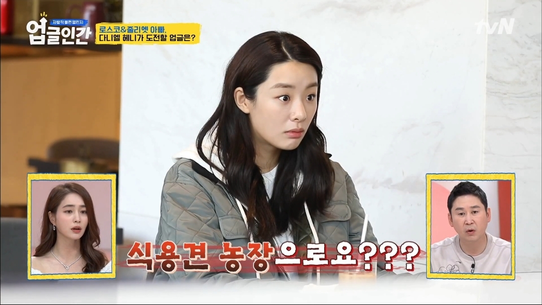 식용견 농장에서 구출된 다니엘 헤니의 강아지 로스코, 줄리엣 | 인스티즈