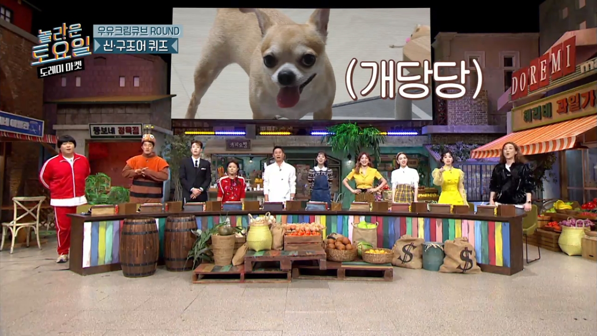 [놀토] 희극인들 기 죽이는 다현 | 인스티즈