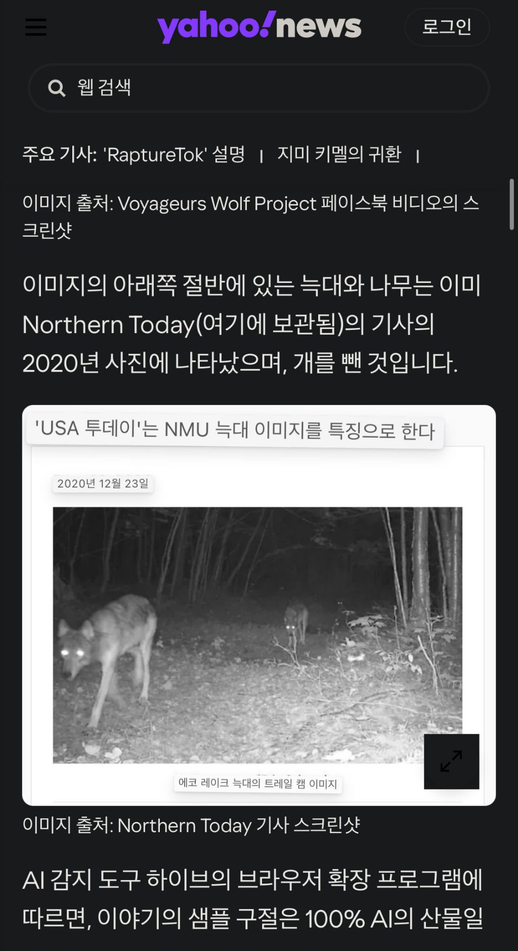 늑대 출몰지역에서 집나간 치와와의 최후... | 인스티즈