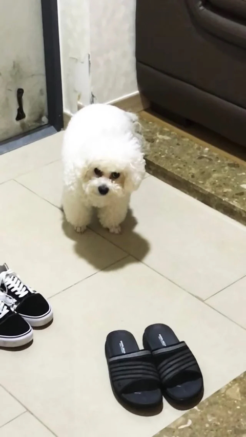 이포인트 이미지