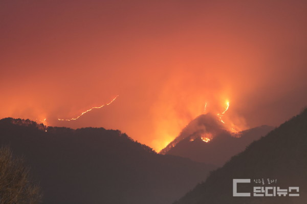 지리산국립공원으로 번진 산불 | 인스티즈