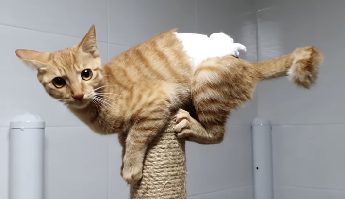 b9f6ec844074eeadd2571e0d2befa8f33864a758