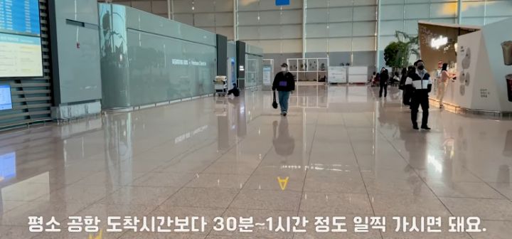 이효리 캐나다체크인보고 유기견 이동봉사 신청한 배우 엄지원 | 인스티즈