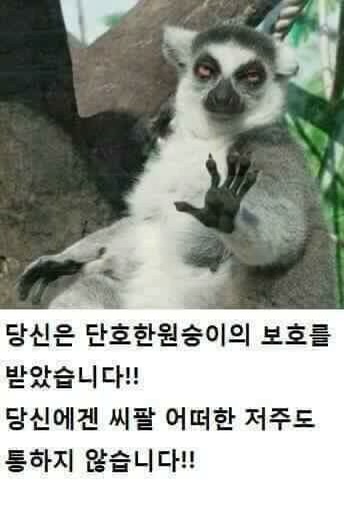 따봉 이미지