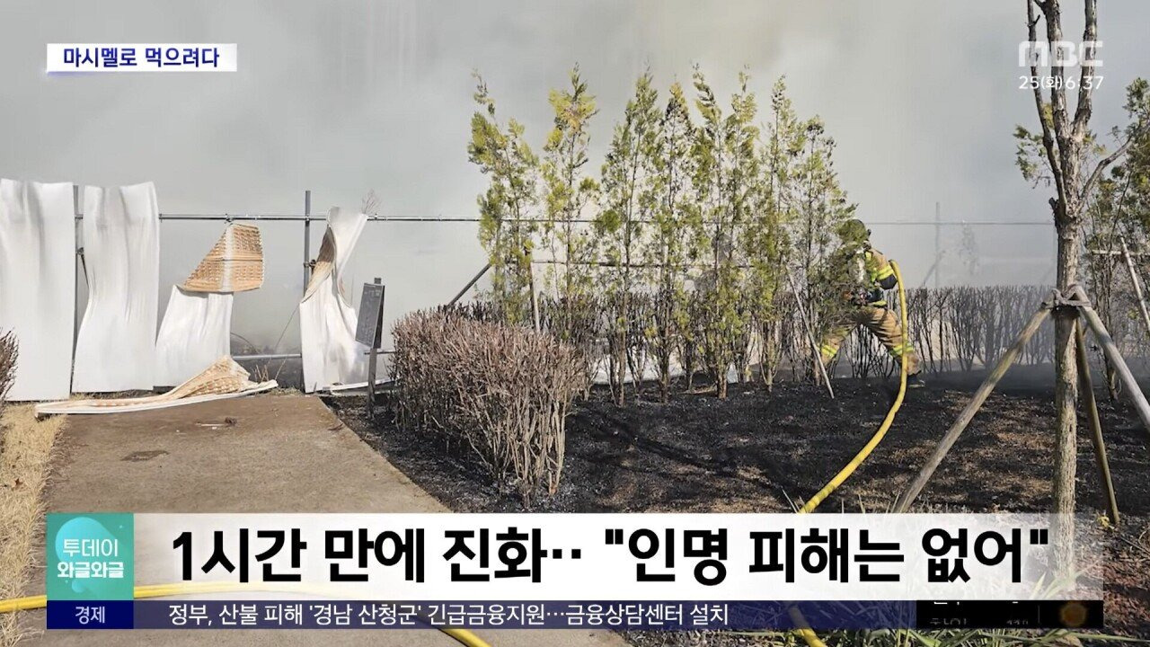 초등학생, "마시멜로 굽다가.." 공원에 불 (25.03.24) | 인스티즈