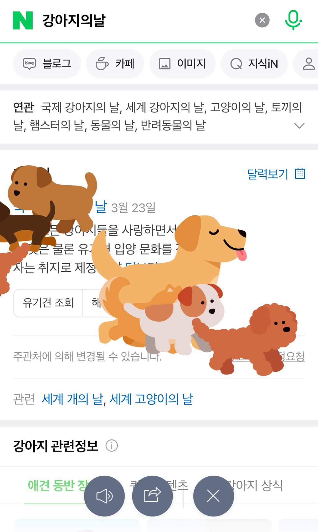 네이버에 '강아지의 날'을 검색하면 나오는 모습 | 인스티즈