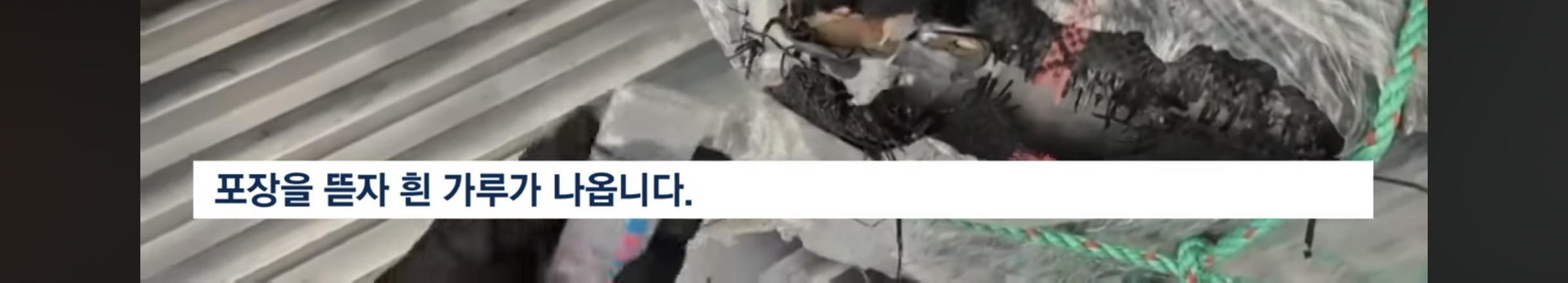 대한민국으로 잘못 들어갔어.. 수상한 컨테이너 열어보니 | 인스티즈