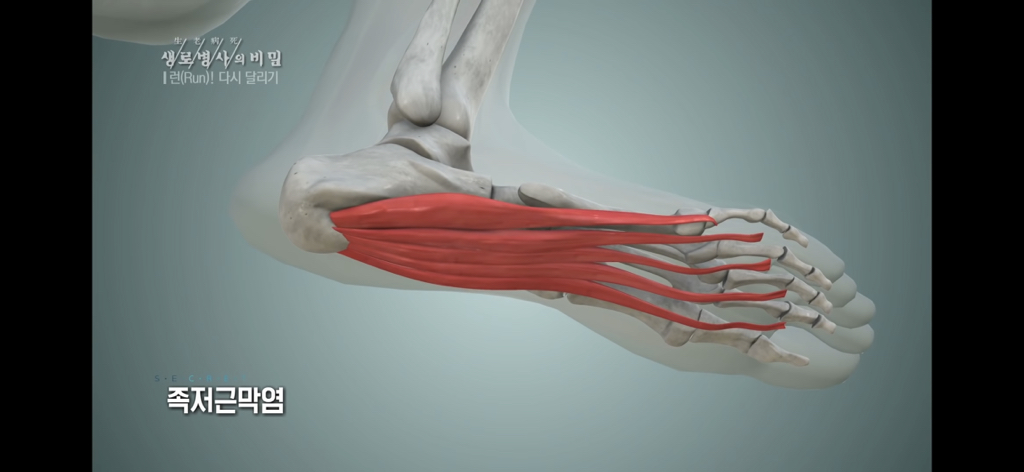 bac4581be7c459cafaa078021e0d9325bcd7e413