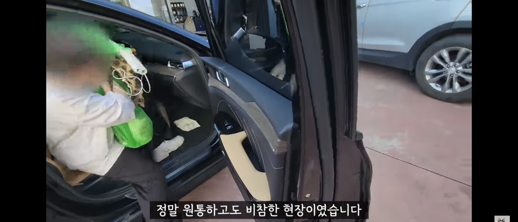 가족들 몰래 고양이를 갖다버린 아빠 | 인스티즈