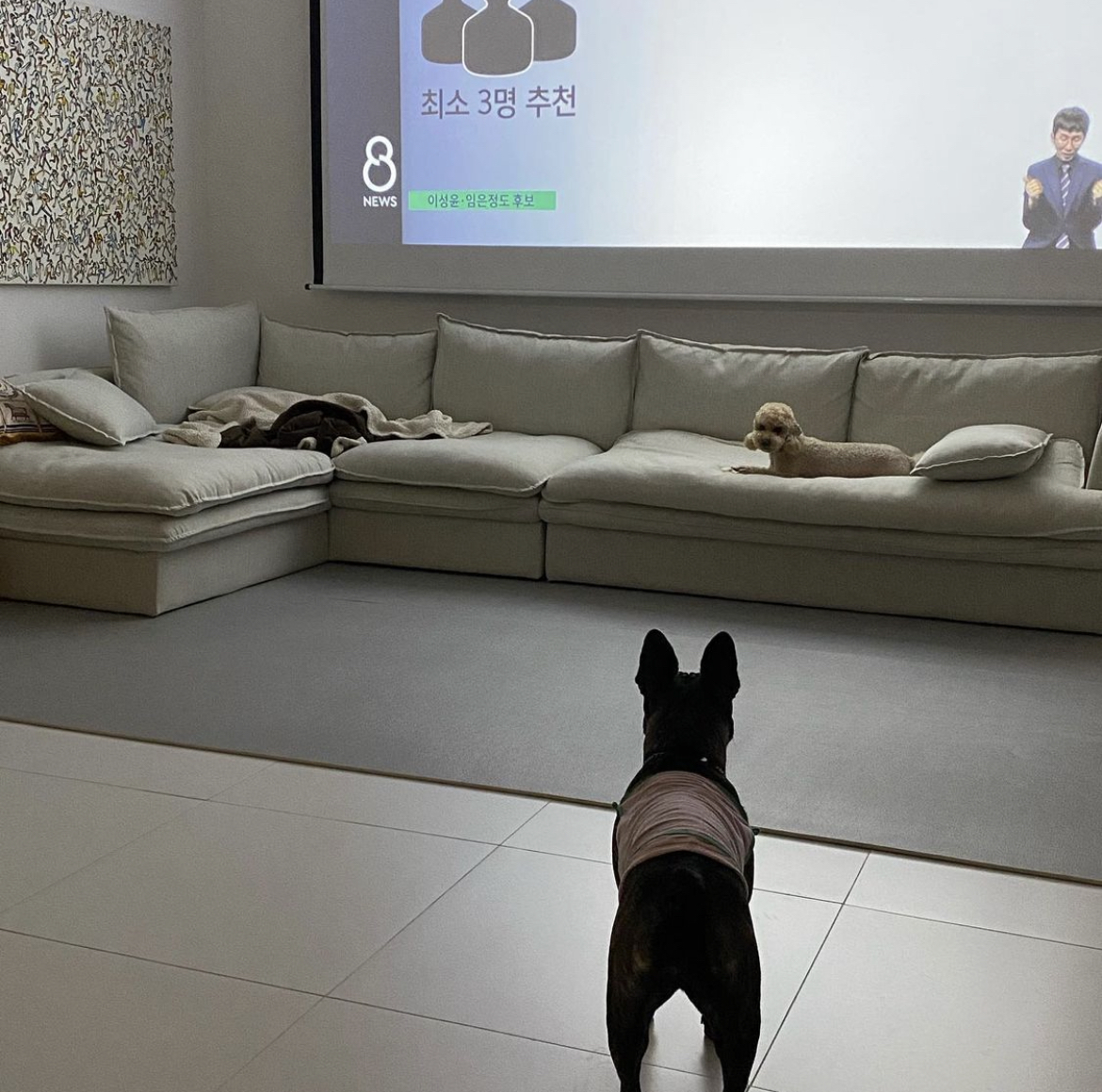 이상한 변호사 우영우 정명석 변호사 본체 실제 집.jpg | 인스티즈