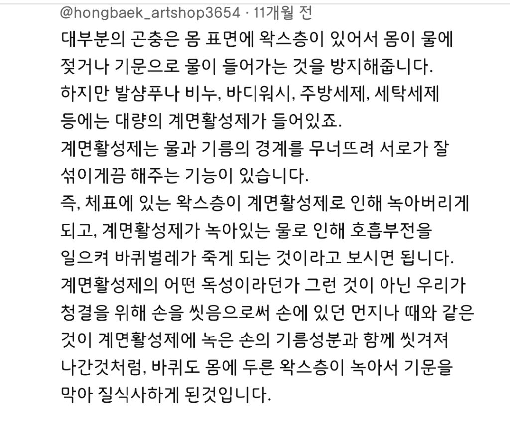 바퀴벌레도 죽이는 발을씻자 (바퀴사진 있음) | 인스티즈