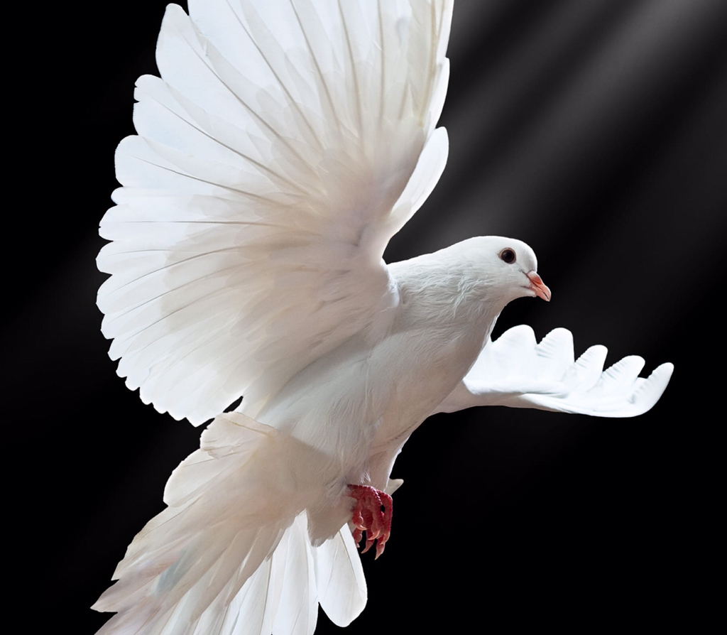 INFP만 사는 나라 이야기 | 인스티즈