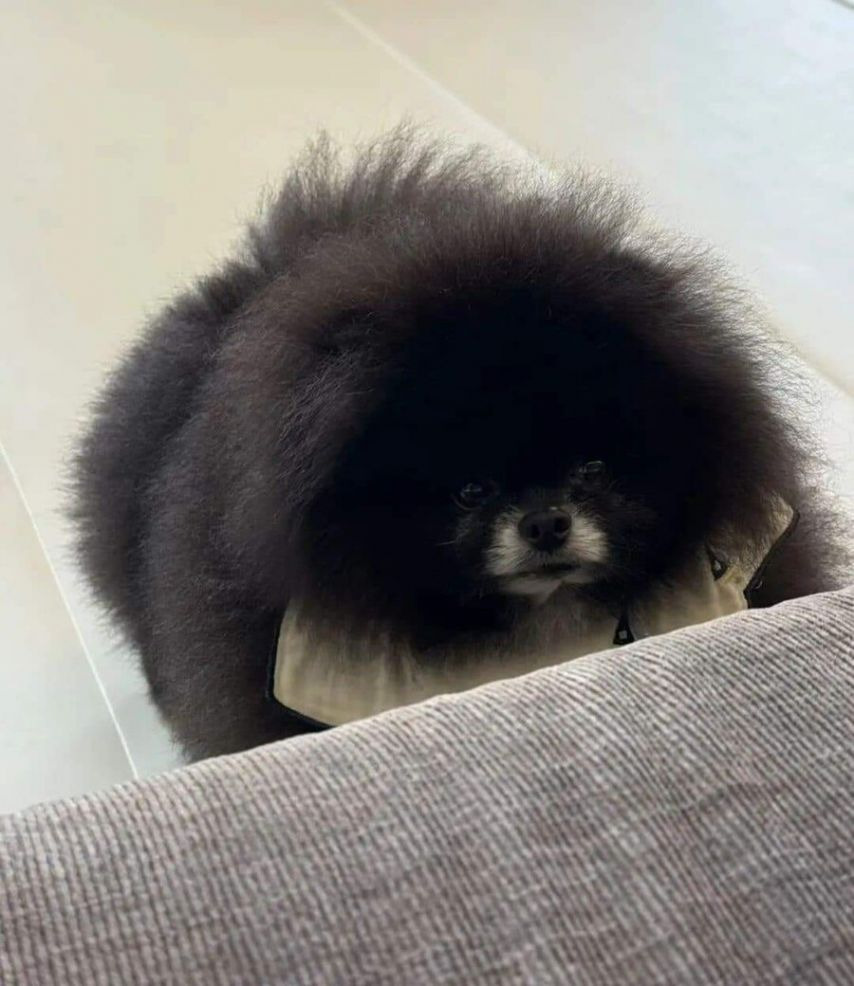 정체불명의 외눈박이 생물체.jpg | 인스티즈