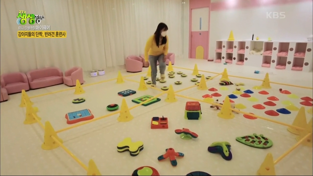 강아지 유치원.jpg | 인스티즈