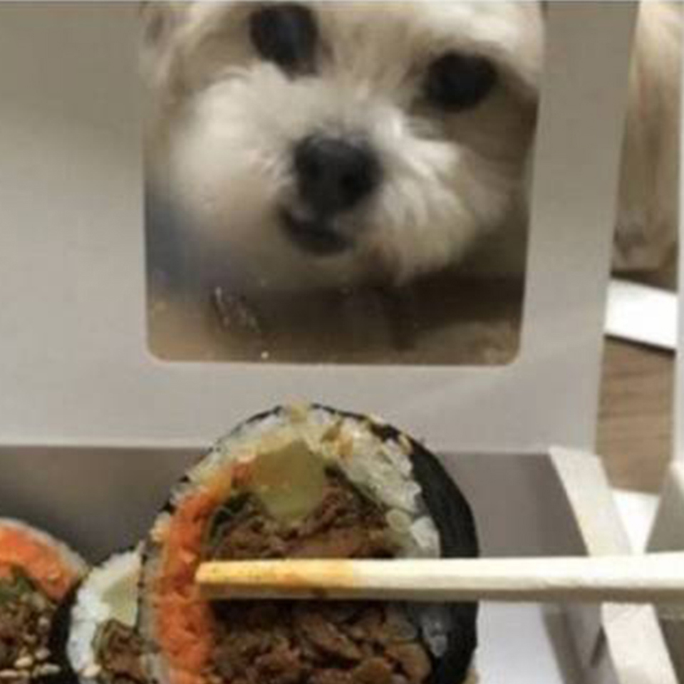 김밥주세요 이미지