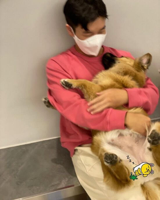 펫샵 NO! 유기견 입양한 연예인들 | 인스티즈