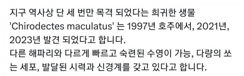 지구 역사상 세번만 목격됐다는 생물 | 인스티즈