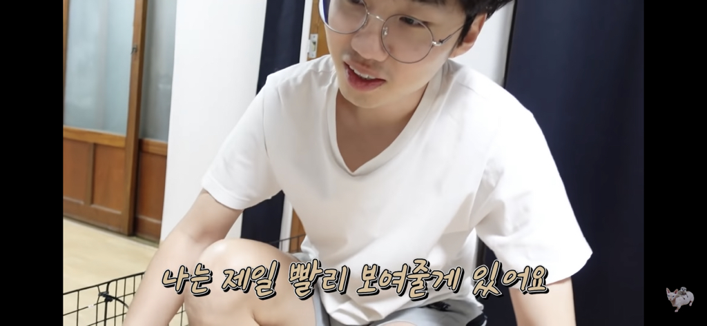 털이 없는 스핑크스는 키우기 편할까? (위생주의) | 인스티즈