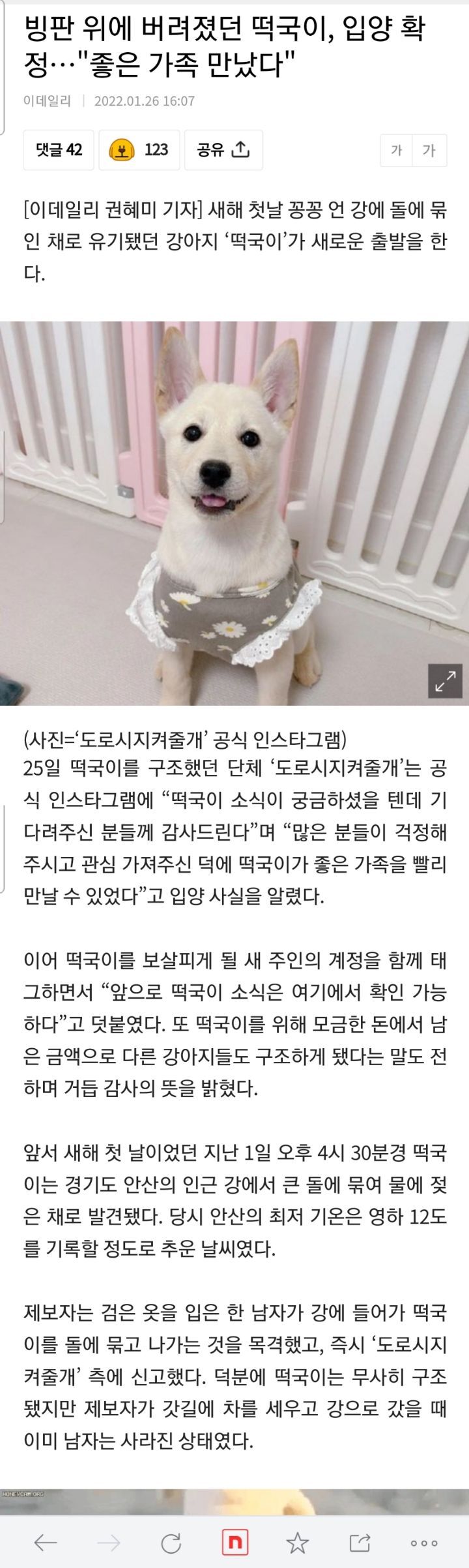 빙판 위에 버려졌던 떡국이, 입양 확정…"좋은 가족 만났다" | 인스티즈