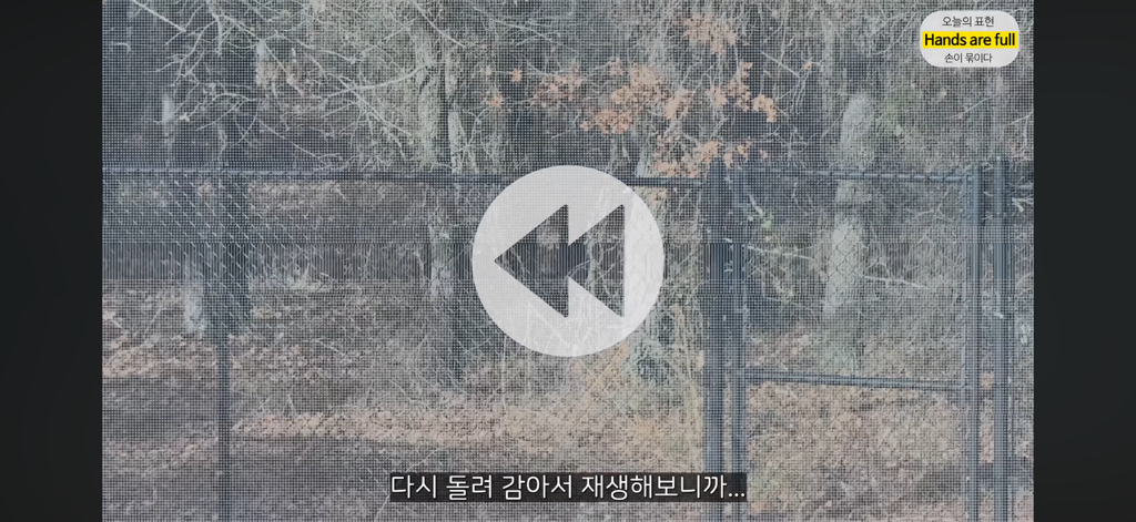 진짜 명견 같은 올리버쌤네 왕자 | 인스티즈
