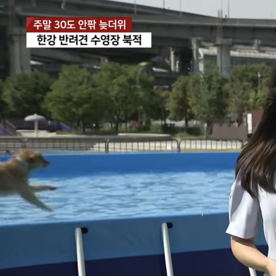 🚨속보🚨 나 데뷔했어,,, | 인스티즈