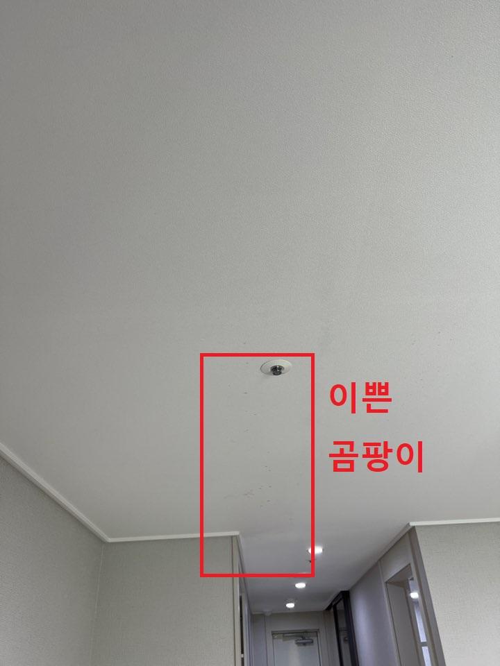 요즘 신축 아파트 이정도는 기본 이죠? 구경 하세요^^ | 인스티즈
