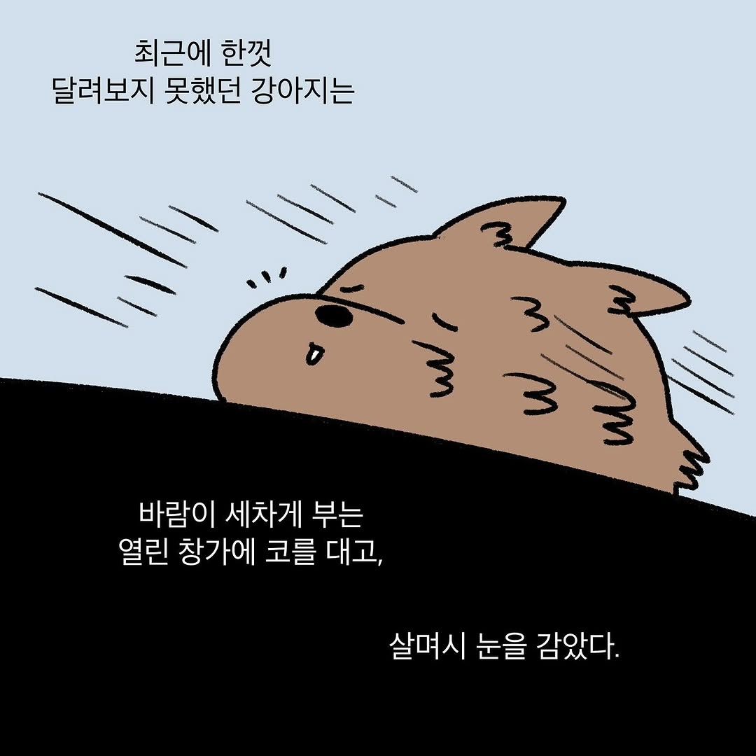 반려동물을 떠나보낸 사람이라면 공감할 인스타툰 | 인스티즈