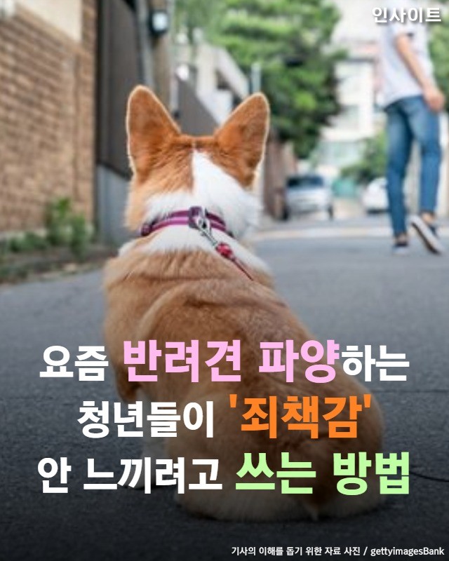 요즘 반려견 파양하는 청년들이 '죄책감' 안느끼려고 쓰는 방법 | 인스티즈
