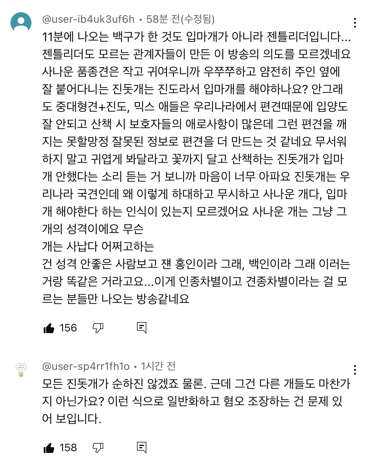 이경규 진돗개 입마개타령 영상에 박제된 견주분들 등장함 | 인스티즈